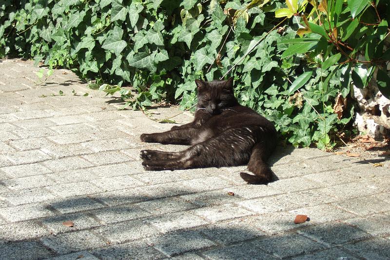 2011-05- (1602).JPG